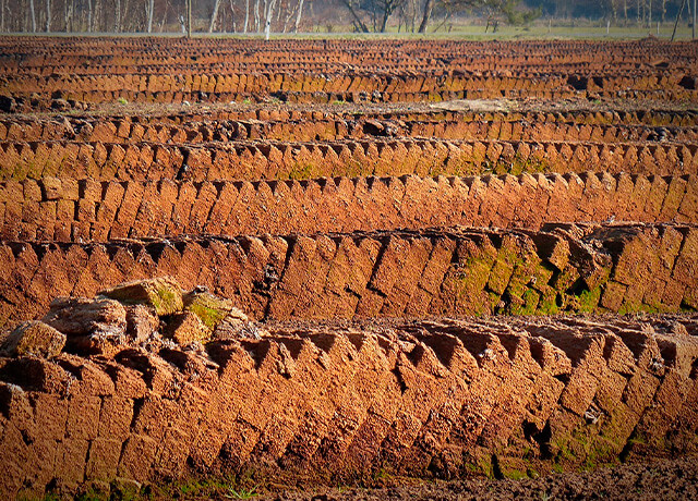 Технології та особливості видобутку торфу в Україні