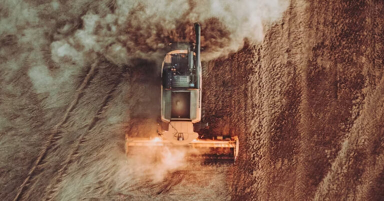 аграрний бізнес в Україні